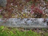 image of grave number 919862